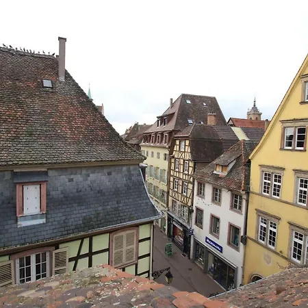 Apartment Center - Petit Ours - Bookingalsace *